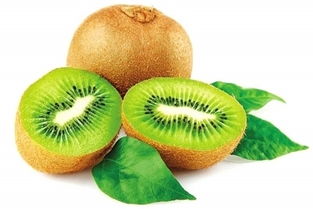 水源地特產獻禮中原人民